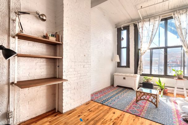 Condo for rent, Montréal (Le Plateau-Mont-Royal) - Photo 1