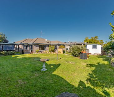 Spacious And Central - Papamoa - Photo 3