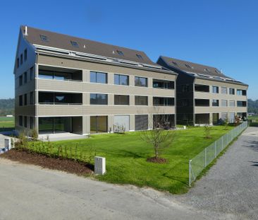 Attraktive 4.5-Zimmer-Attikawohnung an ruhiger Lage mit sonniger Te... - Photo 4