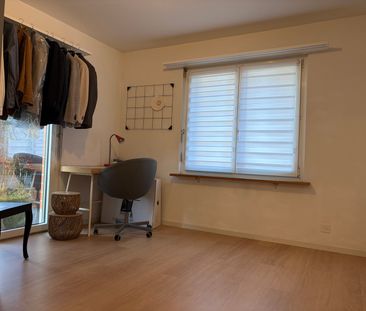 3.5 Zimmer, EG - Photo 5