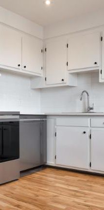 1 CH - 1 SDB - Montréal - $1,250 /mo - Photo 1