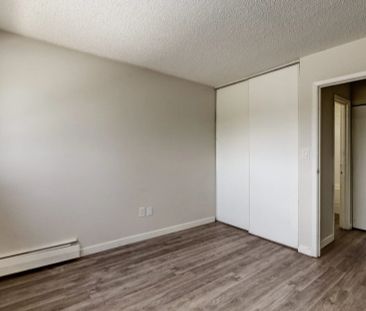 1 Bedroom - Photo 2