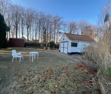 Gezellige vrijstaande woning met 1 slaapkamer en zeer grote tuin me... - Photo 3