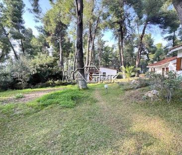 Μονοκατοικία για ενοικίαση Σανή (Κασσάνδρα) - Photo 2