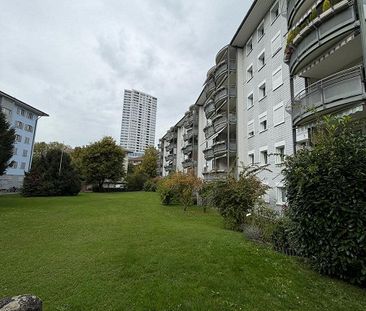Helle 2.5-Zimmerwohnung mit Gartensitzplatz und Einstellplatz - Photo 3