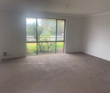 FAMILY HOME WITH LARGE YARD & SHED - Photo 1