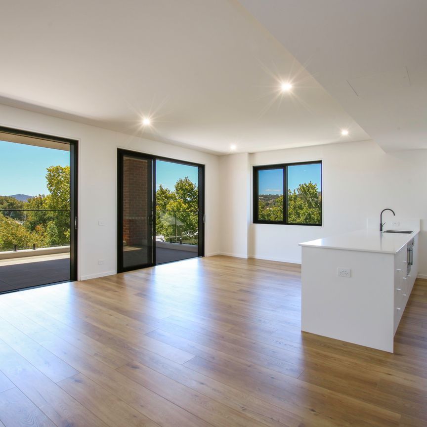 203/425 David Street, Albury NSW 2640 - Townhouse For Rent | Domain - Photo 1