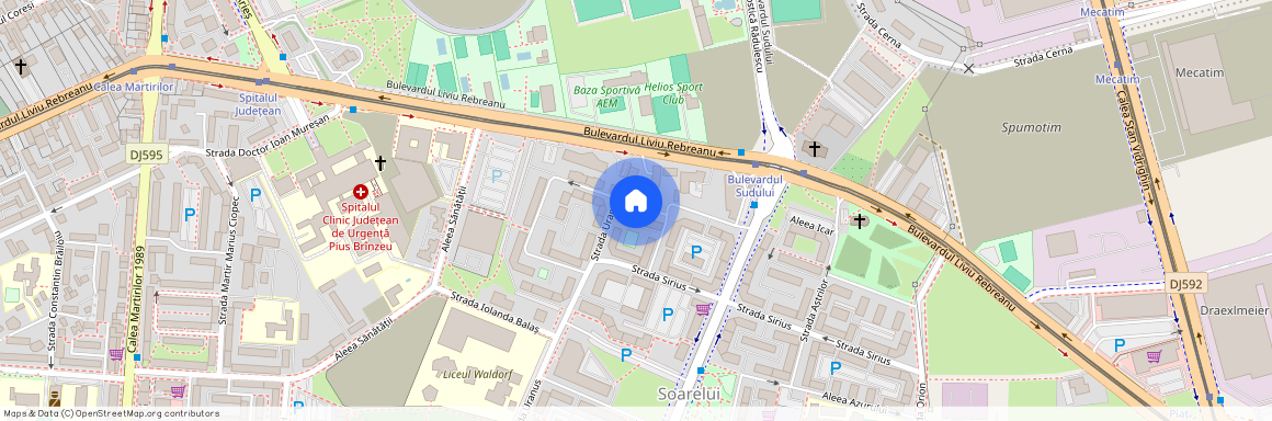Timis, Timisoara
