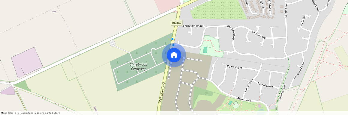 Cornflower Avenue