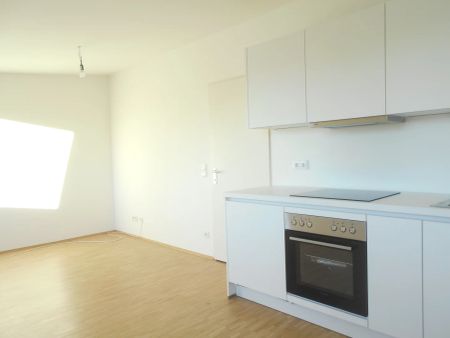 Garconniere sonnig,ruhig, AllgGarten nahe CITY PARK - Foto 5