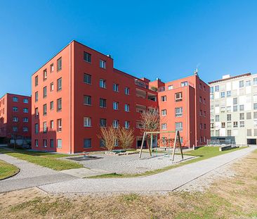 Grosszügige 4.5 Zimmerwohnung in Zürich-Affoltern - Photo 1