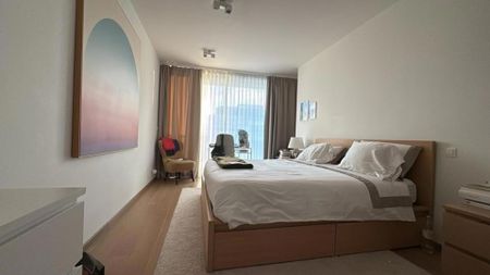 Tout savoir sur cet appartement à Ixelles, à Ixelles - Photo 5