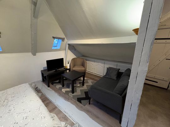 Location Appartement 1 pièce 13m² ORLEANS 45000 - Photo 1