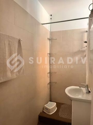 Apartament pet friendly langa Platinia, parcare - Fotografie 4