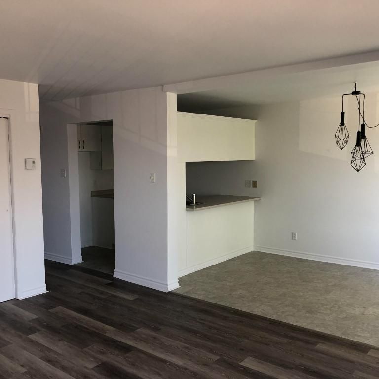 4 ½ à louer – Limoilou (Boulevard des Cèdres) – 1 150 $ disponible - Photo 1