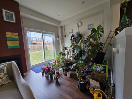 For Lease - 292 Ginseng Street, Waterloo, Ontario - Photo 5