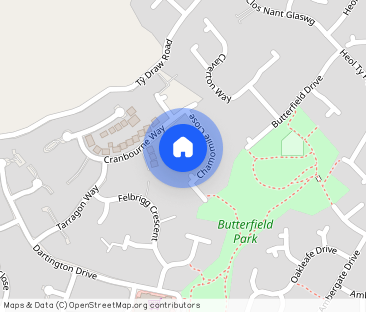 Wisley Place, Pontprennau, Cardiff, CF23 - Photo 1