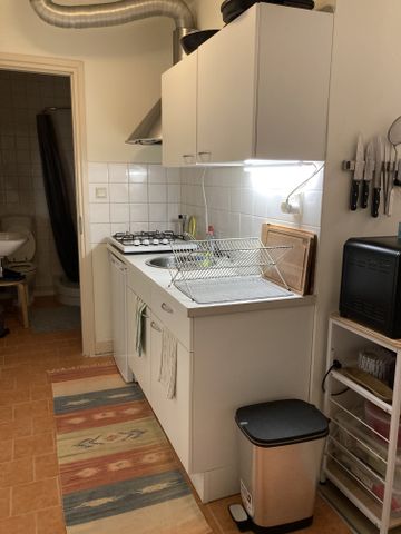 Per direct beschikbaar 2-kamer appartement in Utrecht te huur voor studenten - Foto 4