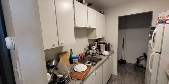 1865 Rue Saint Louis (Gatineau) Beau 3 1/2 à Louer - Photo 3