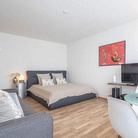 GROSSZÜGIGES 1.5 ZIMMER APARTMENT - Foto 3
