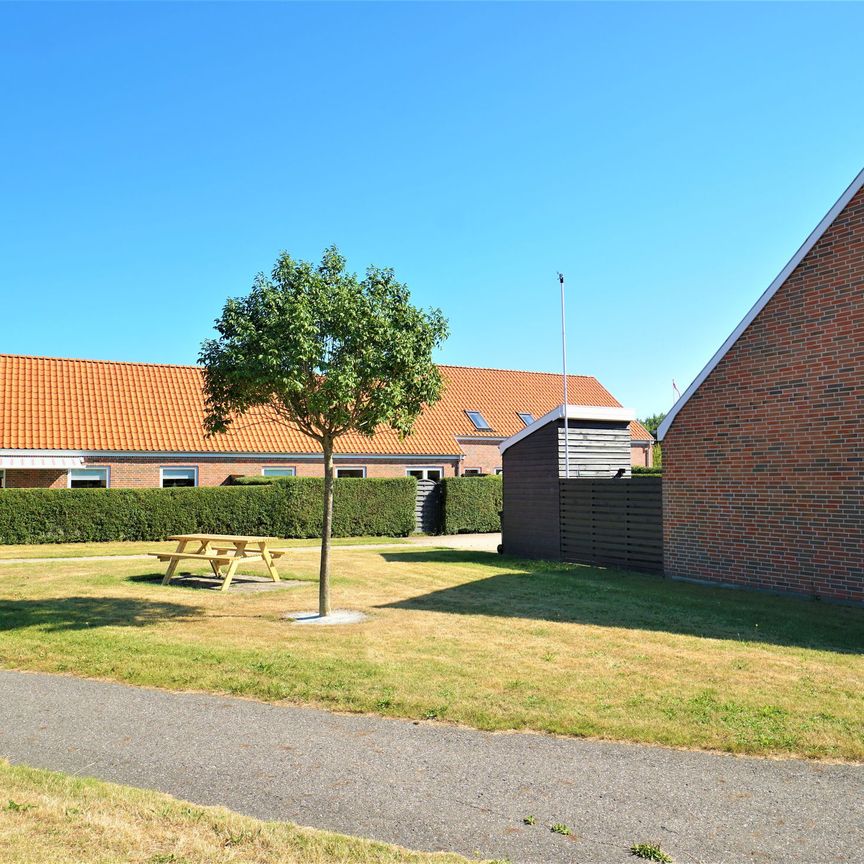 Attraktive rækkehuse i naturskønne Kerteminde - Photo 1