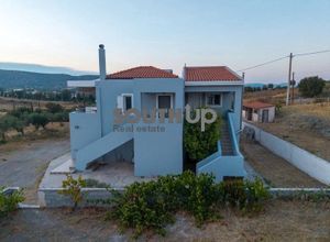 Διαμέρισμα για ενοικίαση - Κερατέα - Φωτογραφία 2
