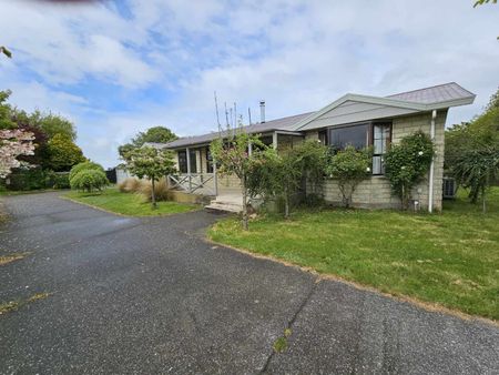 685 Queens Drive, Waikiwi - Photo 3