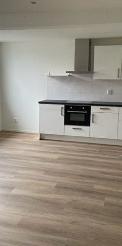 Te huur: Appartement Oude Rijn in Leiden - Foto 1