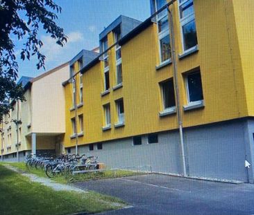 Kleines Appartment am Homburg sucht neuen Mieter ab 01.04.26 - Photo 4