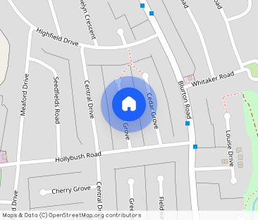 Laburnum Grove, Blurton - Photo 1