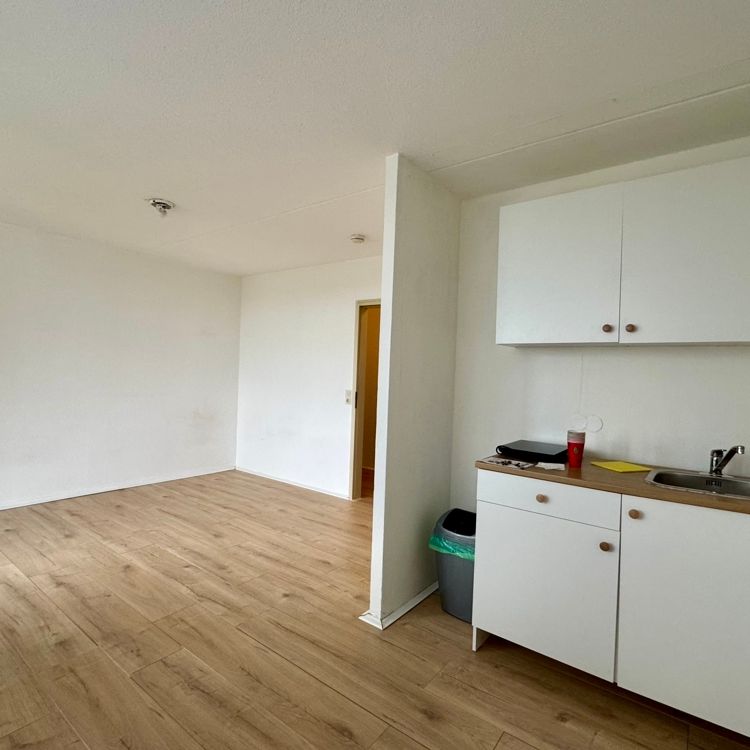 Mainz-Gonsenheim, frisch renoviertes Appartement mit herrlicher Aussicht! - Photo 1