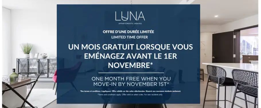 LUNA | 1100 ave Dr. Penfield, Montreal - Photo 1