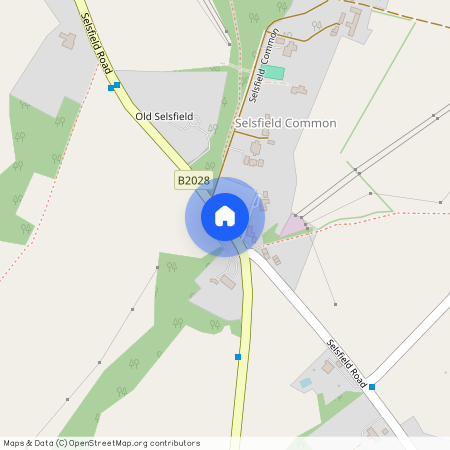 Selsfield Common, East Grinstead, Sussex