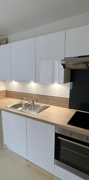 Location Appartement 1 pièce 29m² LILLE 59000 - Photo 1