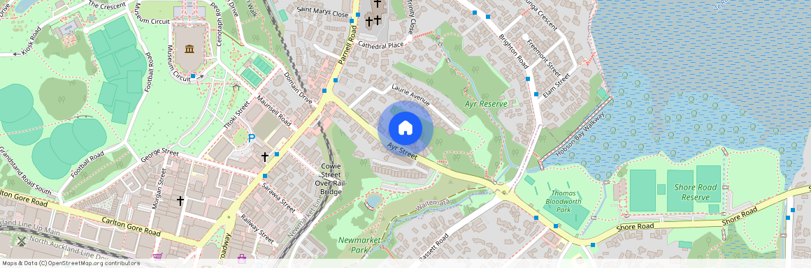 20A Ayr Street, Parnell, Central Auckland