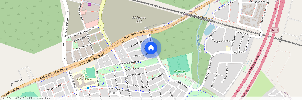 24 Borneo Street, Bardia, NSW 2565