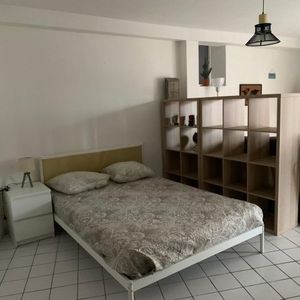 Appartement à louer, 1 pièce - Angers 49000 - Photo 3