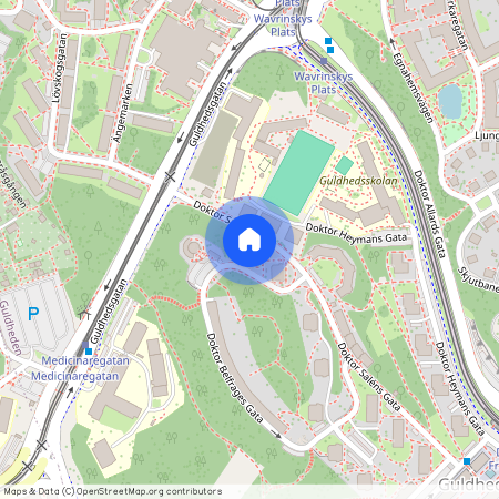 Guldheden, Göteborg, Västra Götaland, Doktor Saléns Gata 1