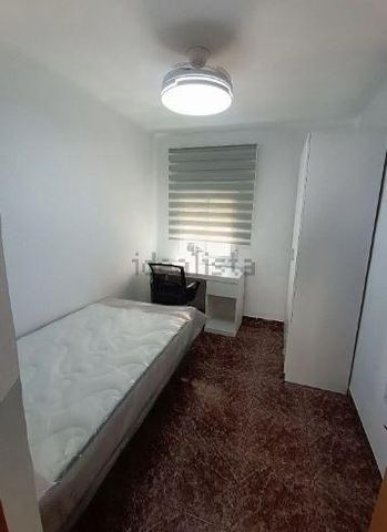 Flat - Granada (Zaidin) - Photo 5