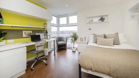 Deluxe Premium - Photo 5