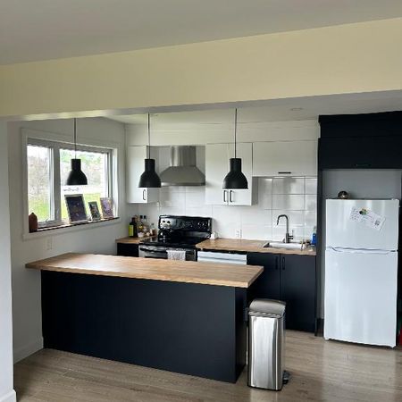 4 1/2 semi-meublé avec 2 stationnements. PREMIER MOIS GRATUIT! - Photo 4