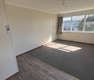 Convenience on Colman - Photo 5