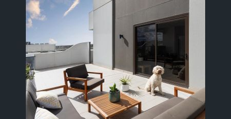 North-facing gem with expansive entertainers terrace - Photo 3