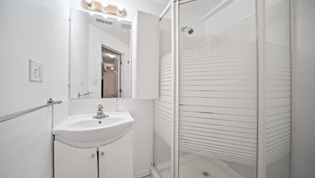 For Lease - 128 Breton Avenue Unit# Lower, Mississauga, Ontario - Photo 5