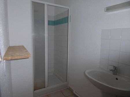 Location appartement 2 pièces 45.25 m² à Aubenas (07200) - Photo 5