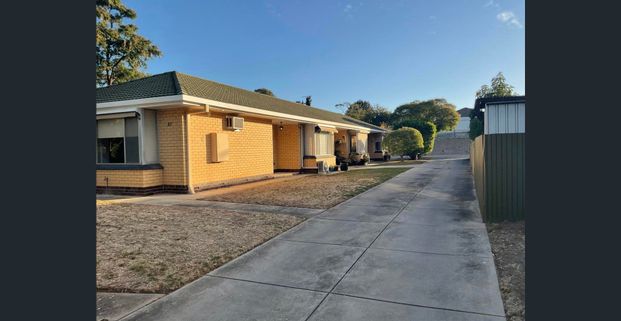 2 Bedroom Unit on the Linear Park - Photo 1