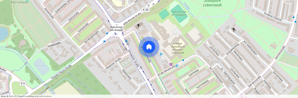 Saldersche Straße 15, 38226 Niedersachsen - Salzgitter