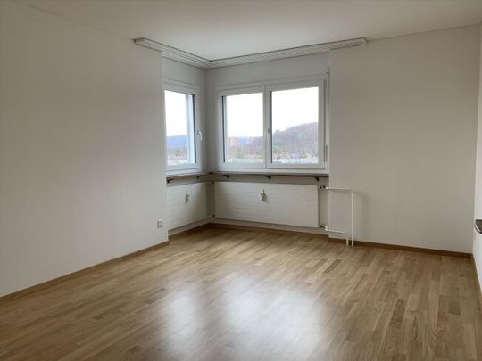 Apartment in the beautiful town of Münchenstein - Photo 1