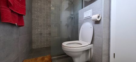 Modern studio for rent in Cluj, near the University of Medicine and Pharmacy and near the University of Agricultural Sciences and Veterinary Medicine, on B.P. Hașdeu street - Fotografie 2