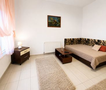 Apartament cu o cameră Traian - Photo 3